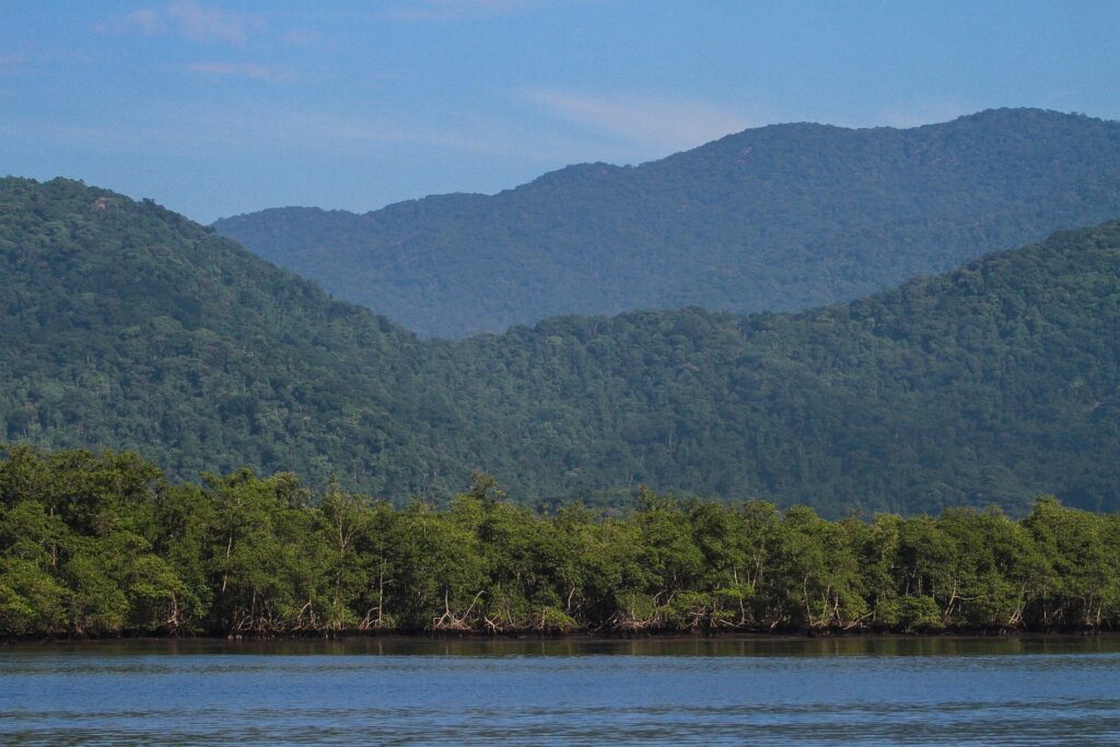 mata atlântica