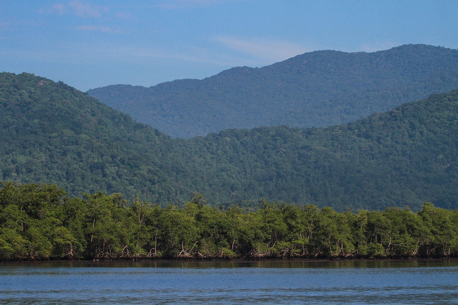 mata atlântica