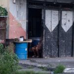 saneamento (4)