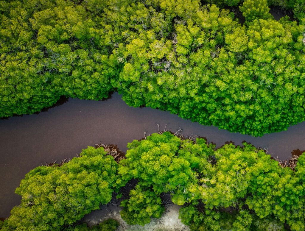 Amazônia