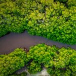 Amazônia