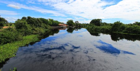 Mato Grosso