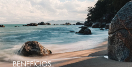 BENEFÍCIOS ECONÔMICOS E SOCIAIS NO ESTADO DE SANTA CATARINA123