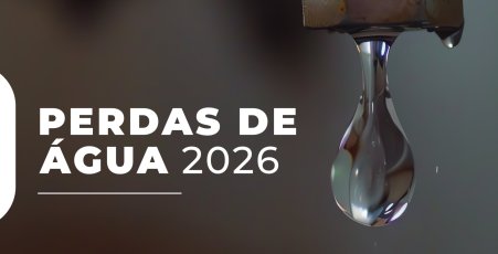 CAPA ESTUDO PERDAS 2