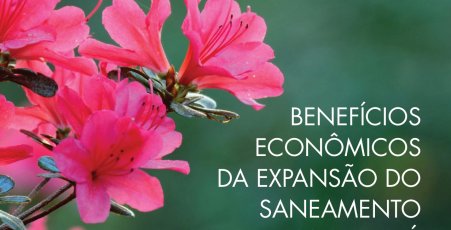 COM DATA_CAPA