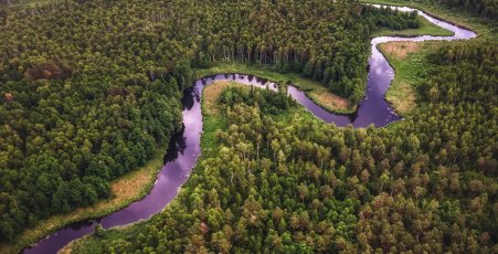 Capa Blog - Trata Brasil - Dia da Amazônia quase 900 piscinas olímpicas de esgoto sem tratamento são despejadas diariamente no ecossistema de maior biodiversidade do planeta