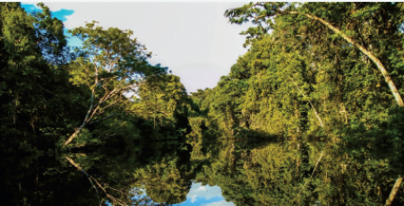 Capa_do_estudo_AGOSTO_1_