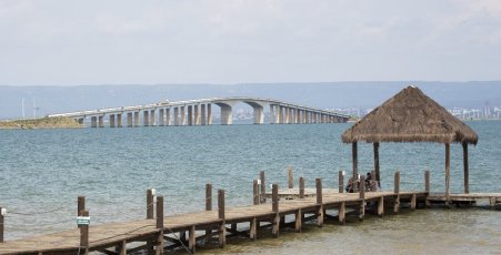 Palmas (1)