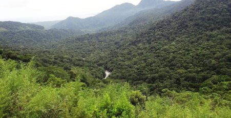 banner_mata_atlantica_blog