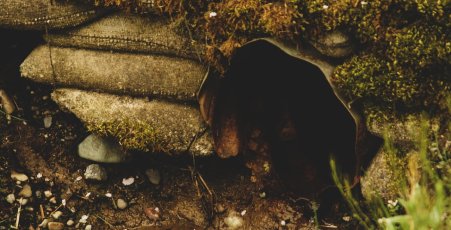 culvert-5115005_1280