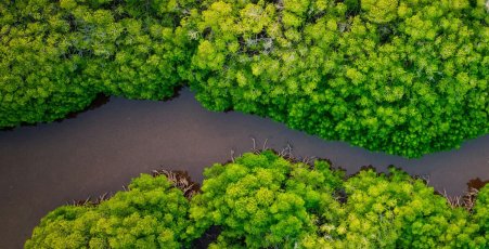 Amazônia
